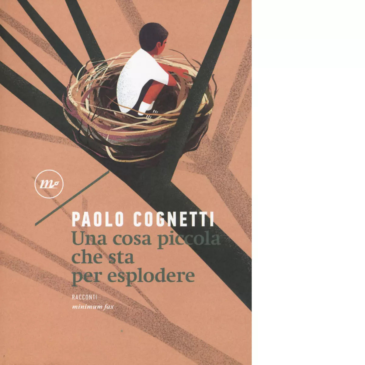 Una cosa piccola che sta per esplodere di Paolo Cognetti
