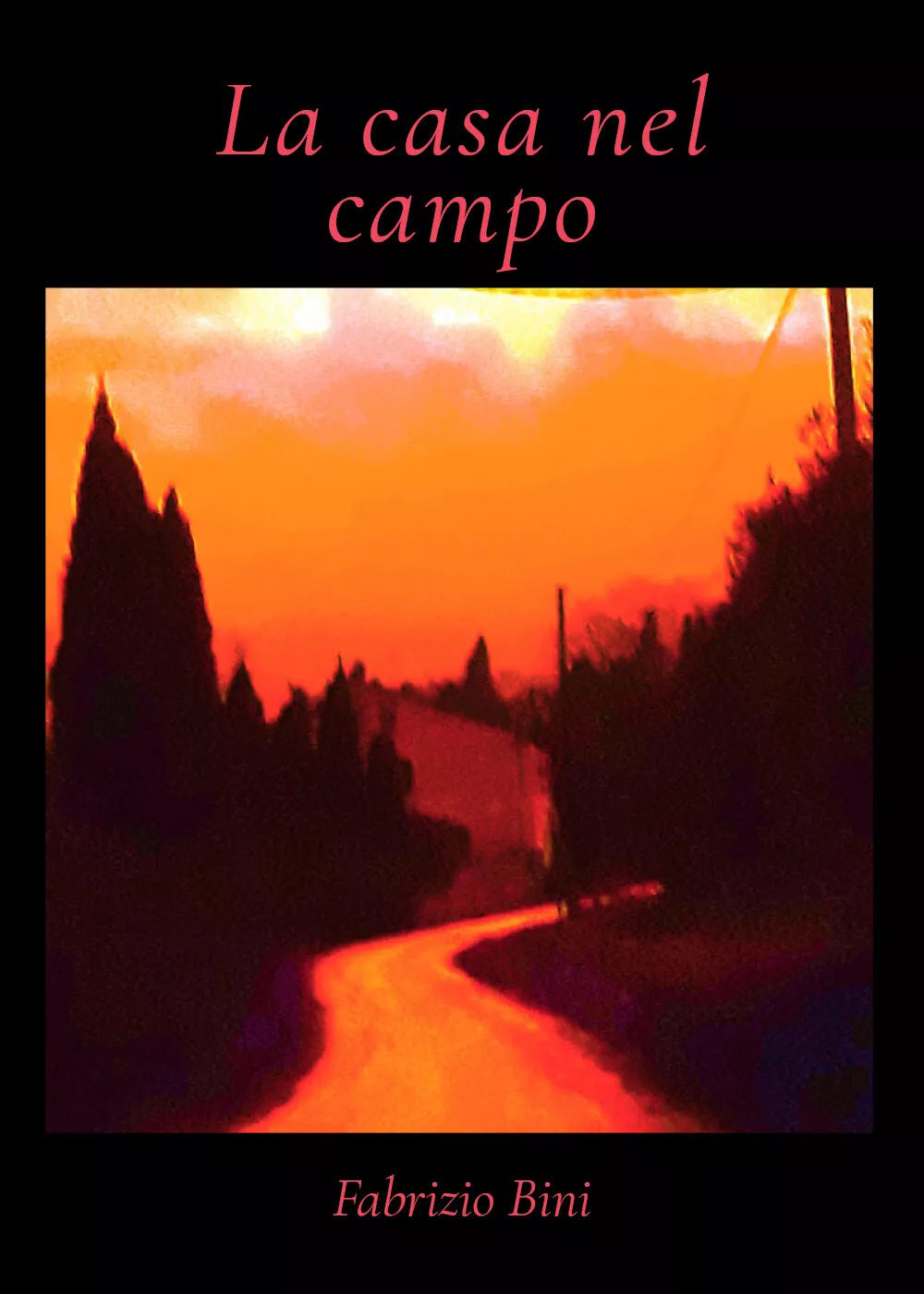 La casa nel campo di Fabrizio Bini, 2021, Youcanprint