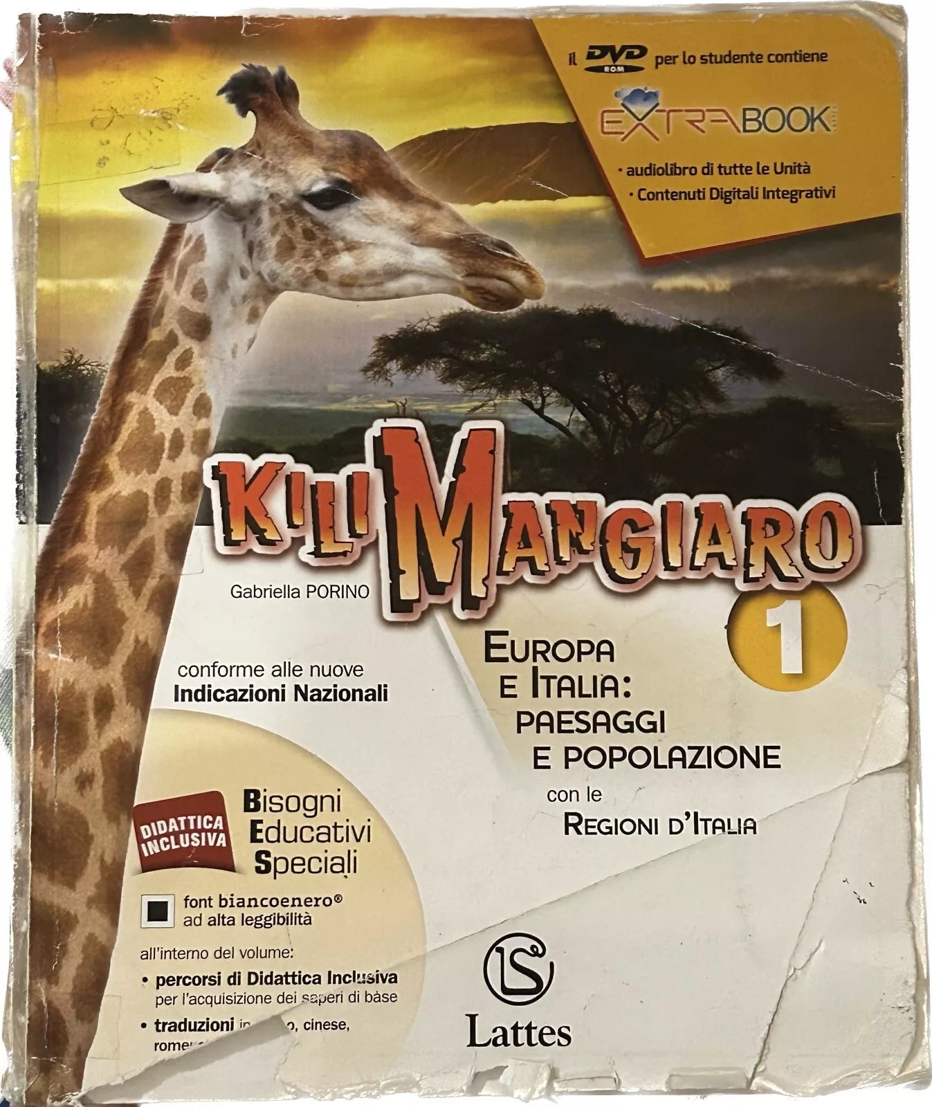 Kilimangiaro 1 di Gabriella Porino
