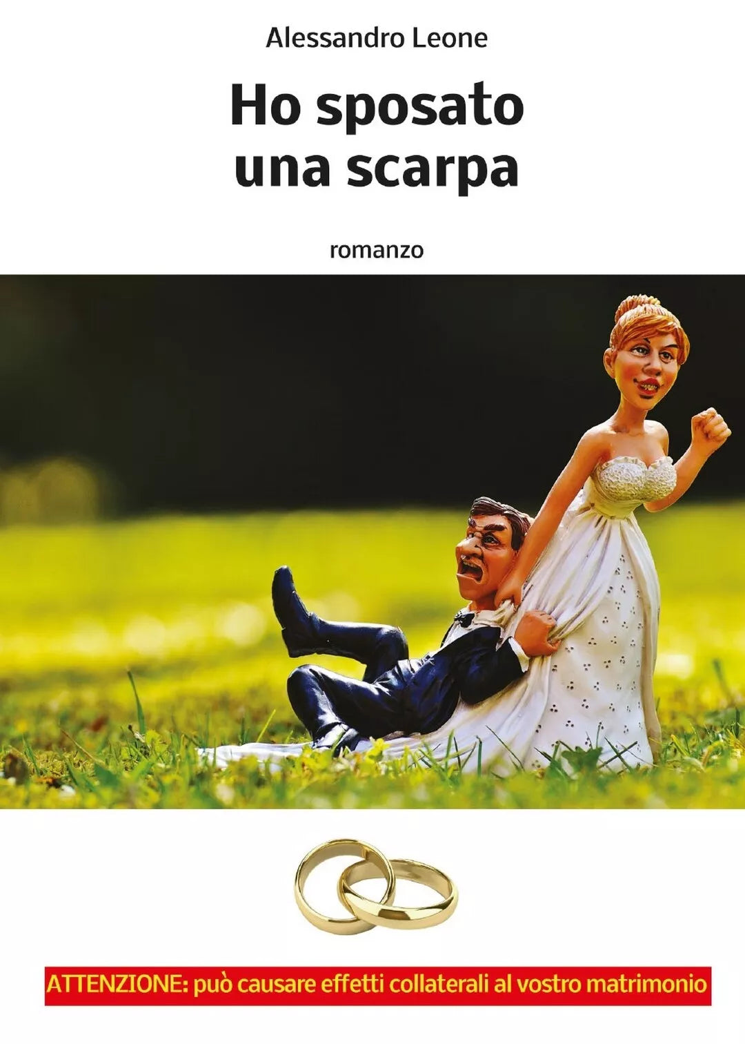 Ho sposato una scarpa di Alessandro Leone, 2016, Youcanprint