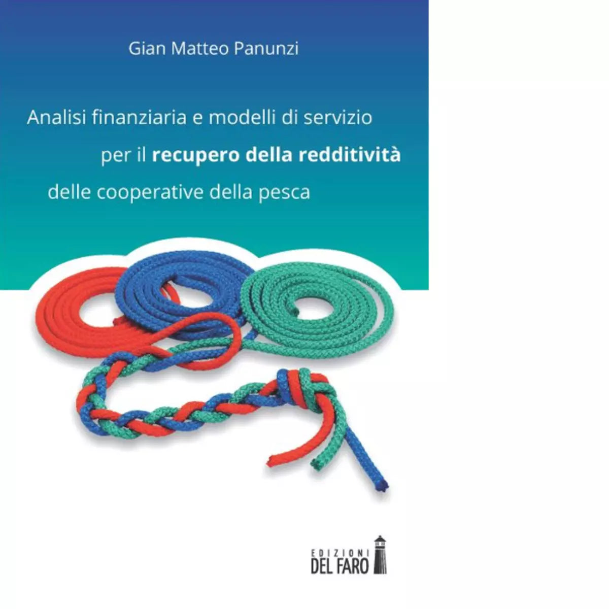 Analisi finanziaria e modelli di servizio per il recupero della redditivit