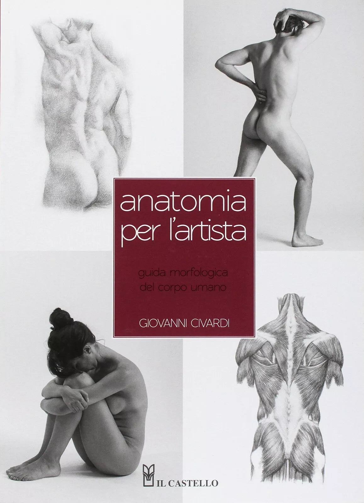 Anatomia per l artista