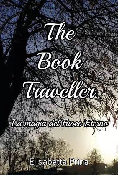 The Book Traveller