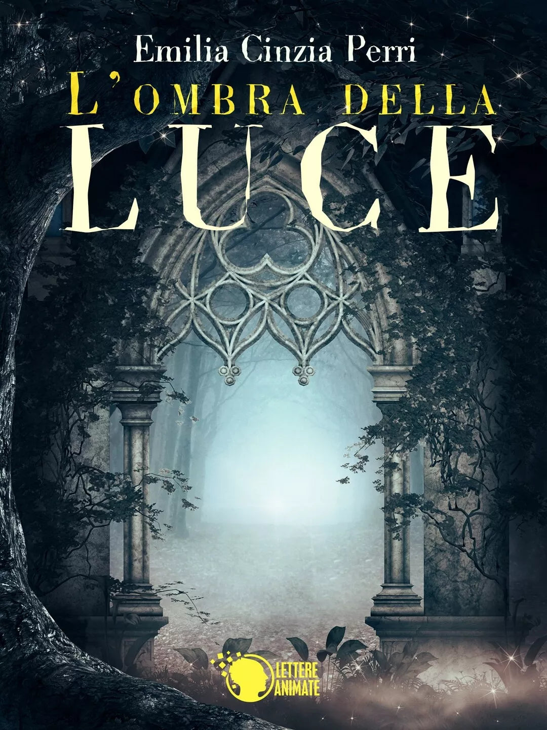 L’ombra della luce di Emilia Cinzia Perri, 2016, Lettere Animate Editore