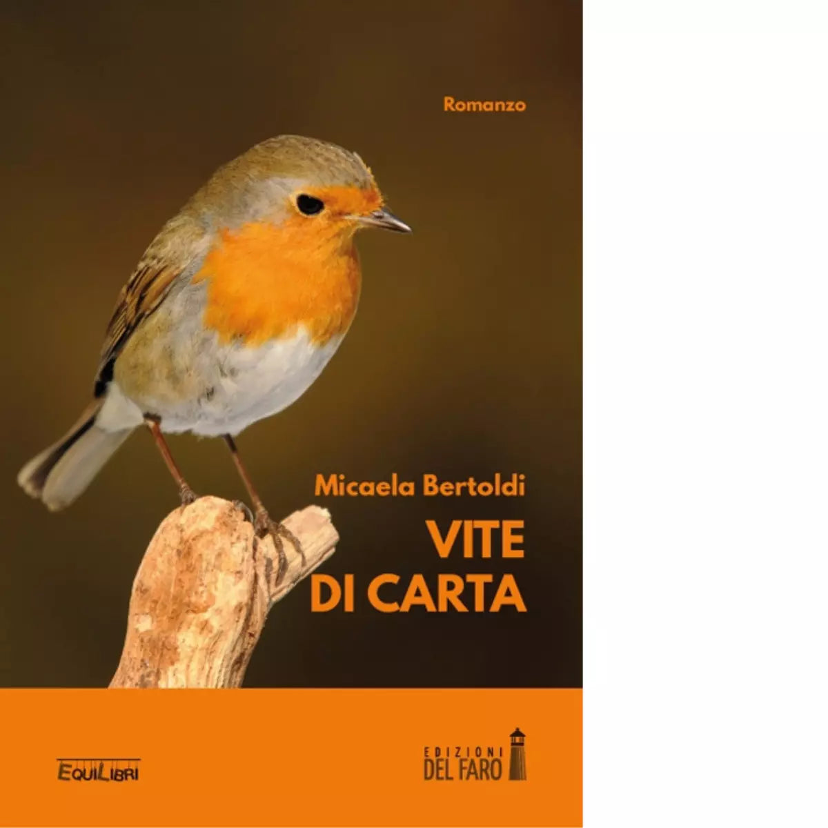 Vite di carta di Bertoldi Micaela