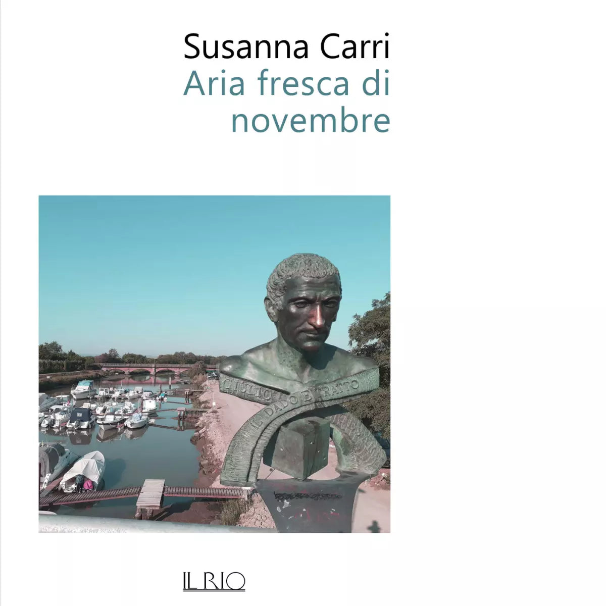 Aria fresca di novembre di Susanna Carri
