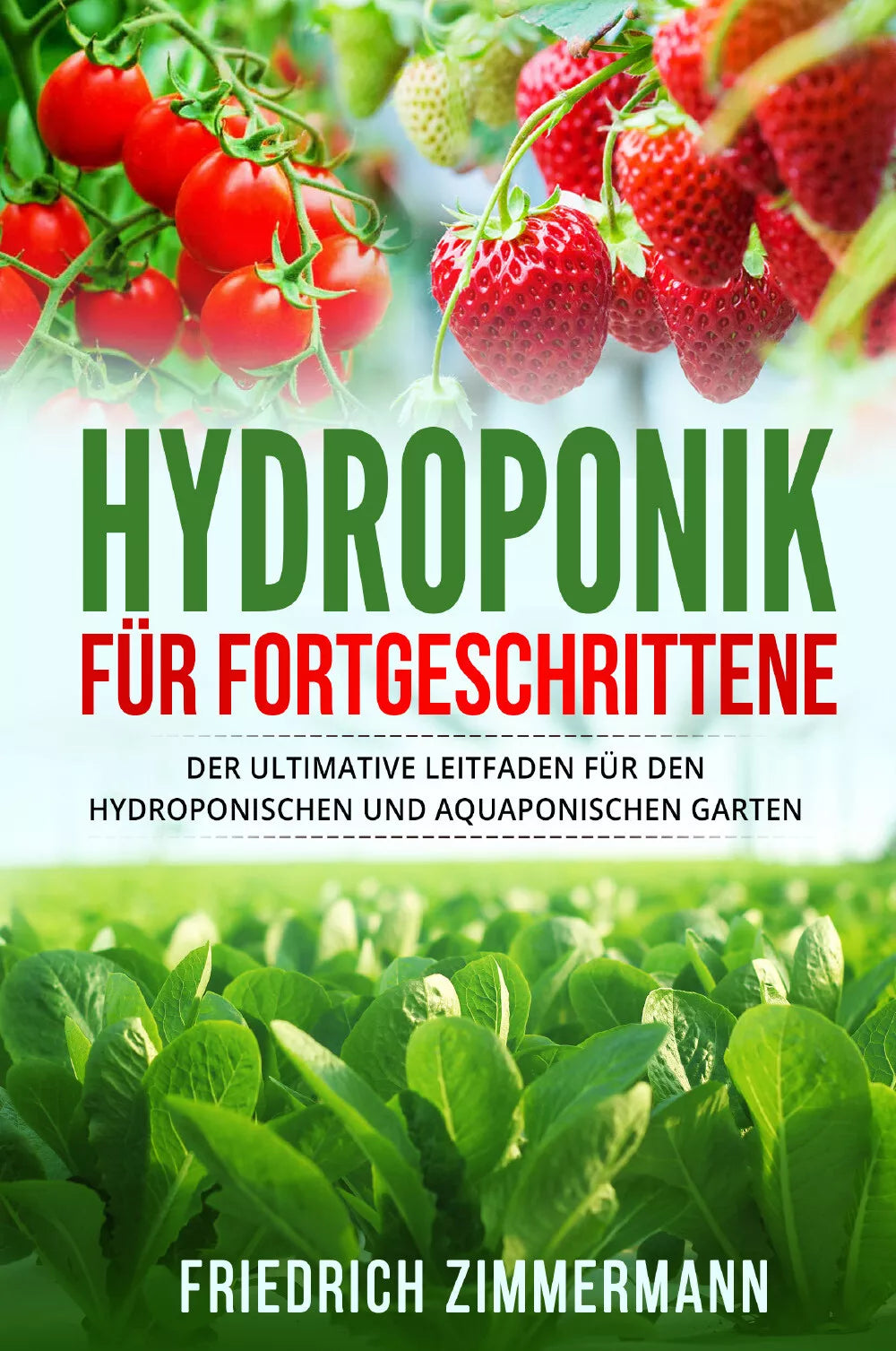 Hydroponik f r Fortgeschrittene Der ultimative Leitfaden f r den hydroponischen