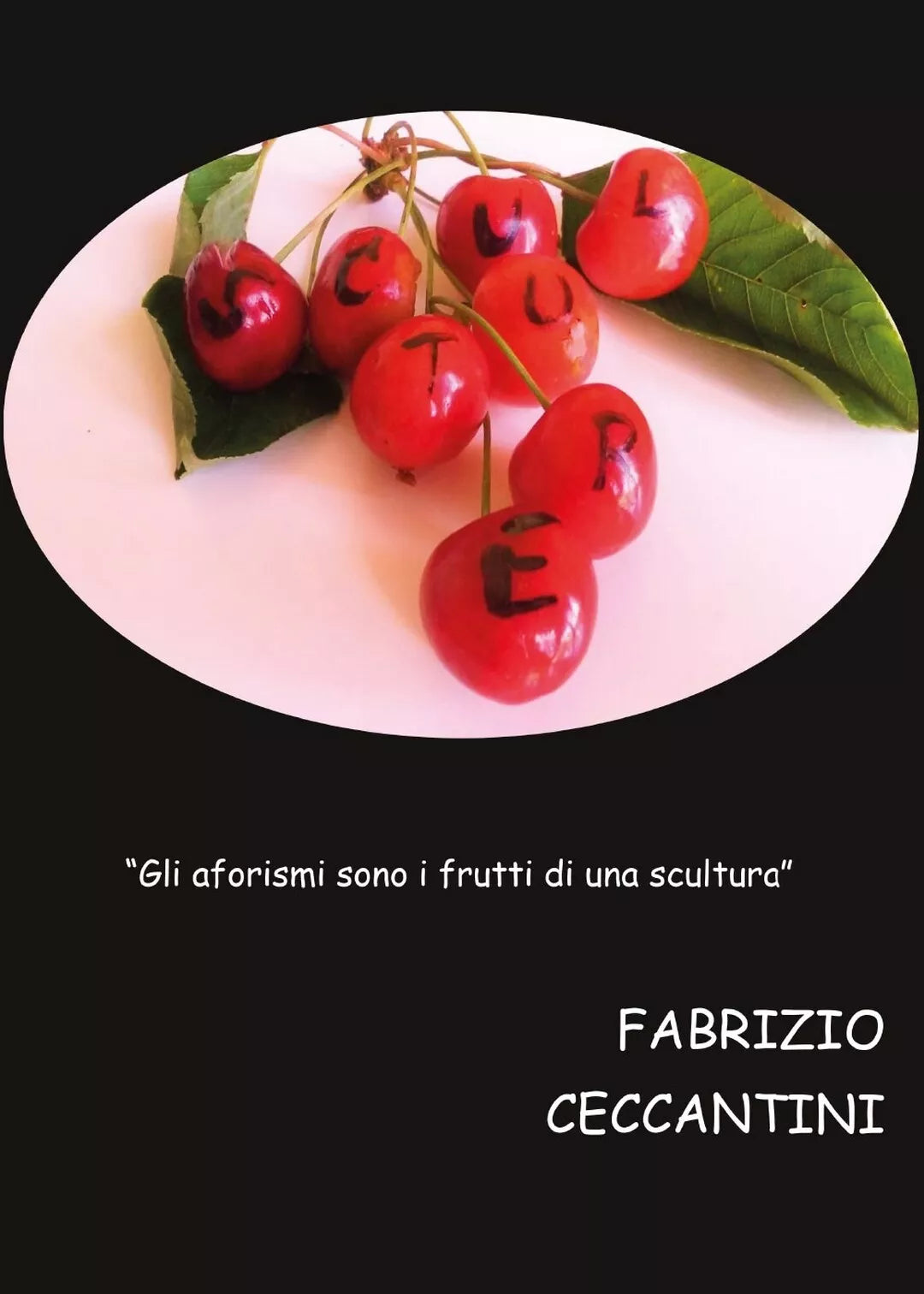 Sculture di Fabrizio Ceccantini, 2016, Youcanprint