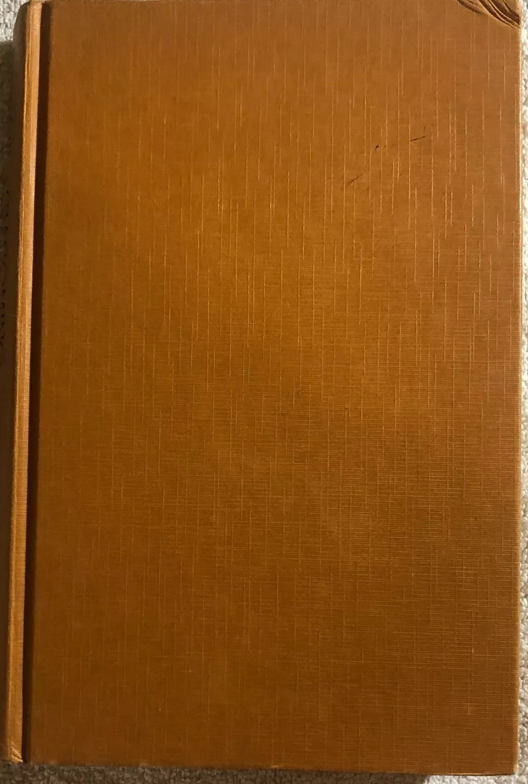 Giacomino di Antonio Debenedetti, 1994, Rizzoli