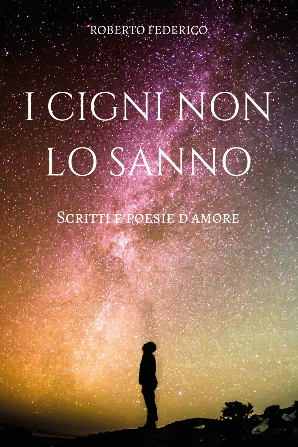 I cigni non lo sanno. Poesie e scritti d’amore di Roberto Federico, 2018, Youc