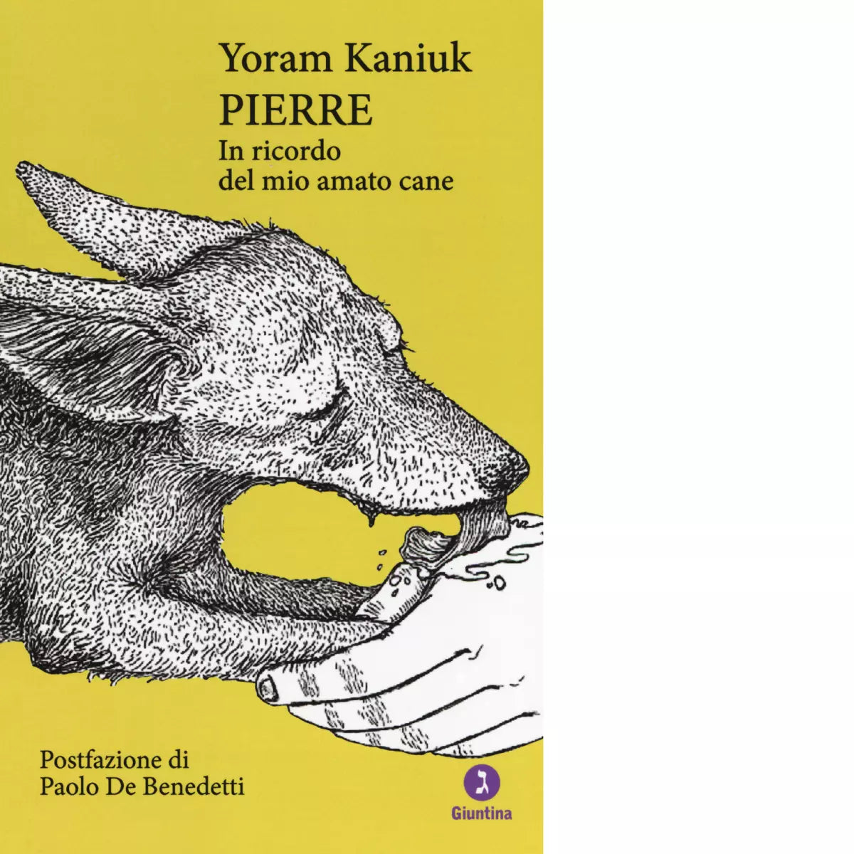 Pierre di Yoram Kaniuk