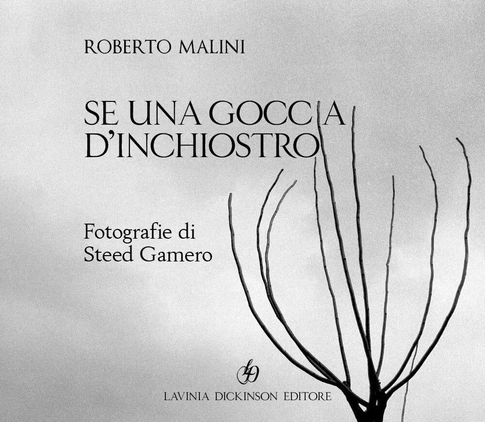 Se una goccia d’inchiostro di Roberto Malini, 2020, Youcanprint