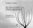 Se una goccia d’inchiostro di Roberto Malini, 2020, Youcanprint