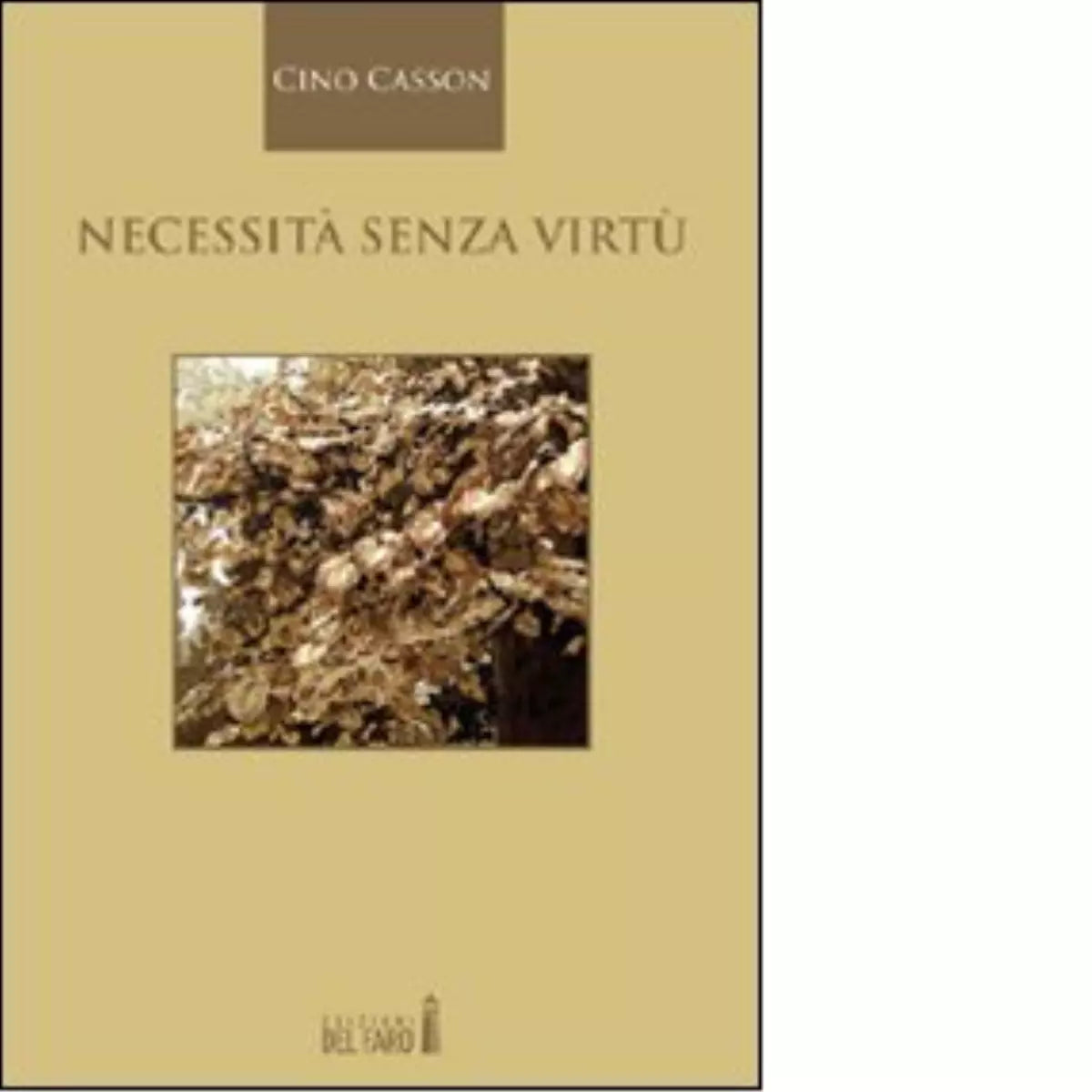 Necessit senza virt di Casson Cino