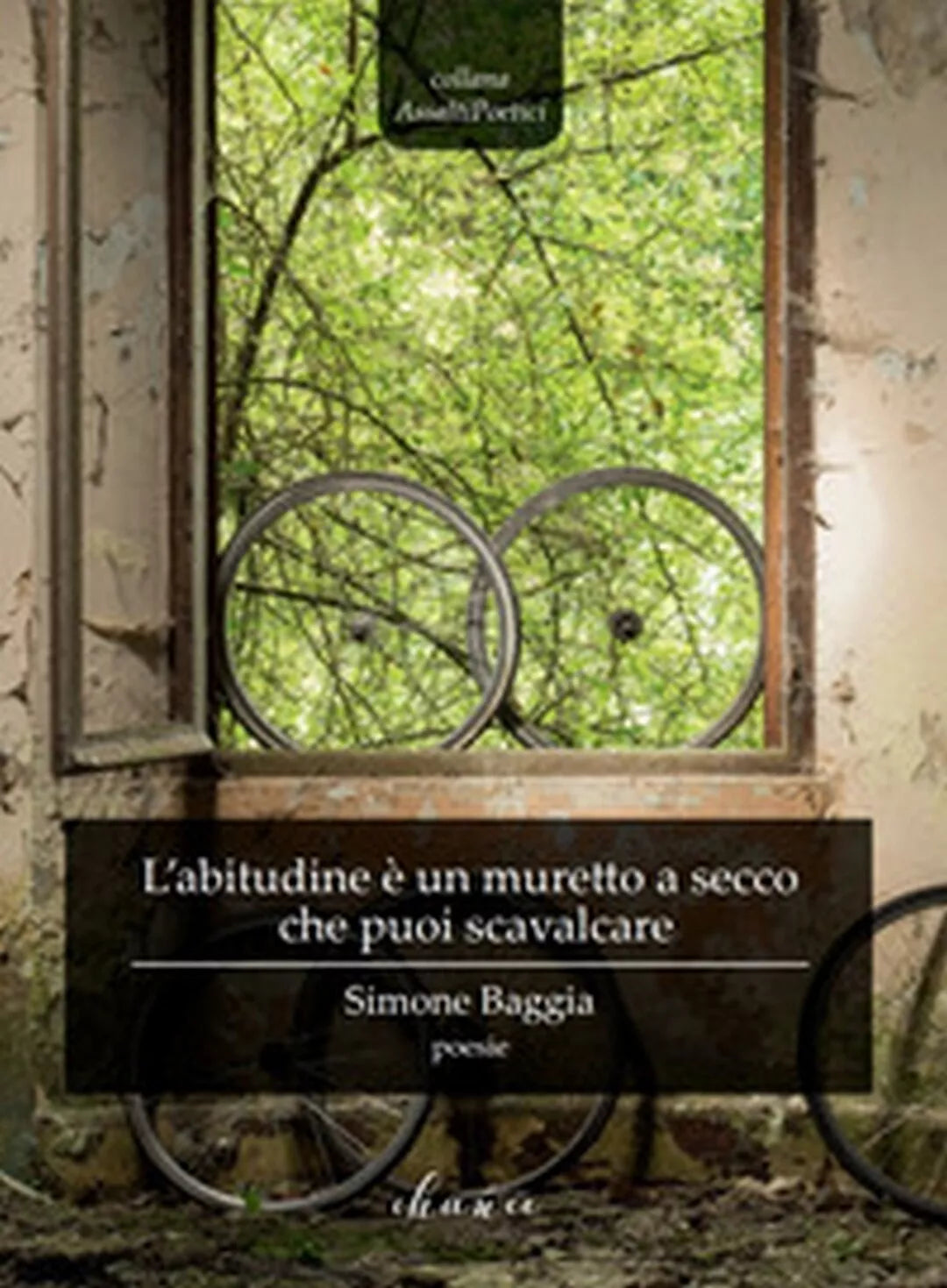 L’abitudine e un muretto a secco che puoi scavalcare di Baggia Simone, 2019