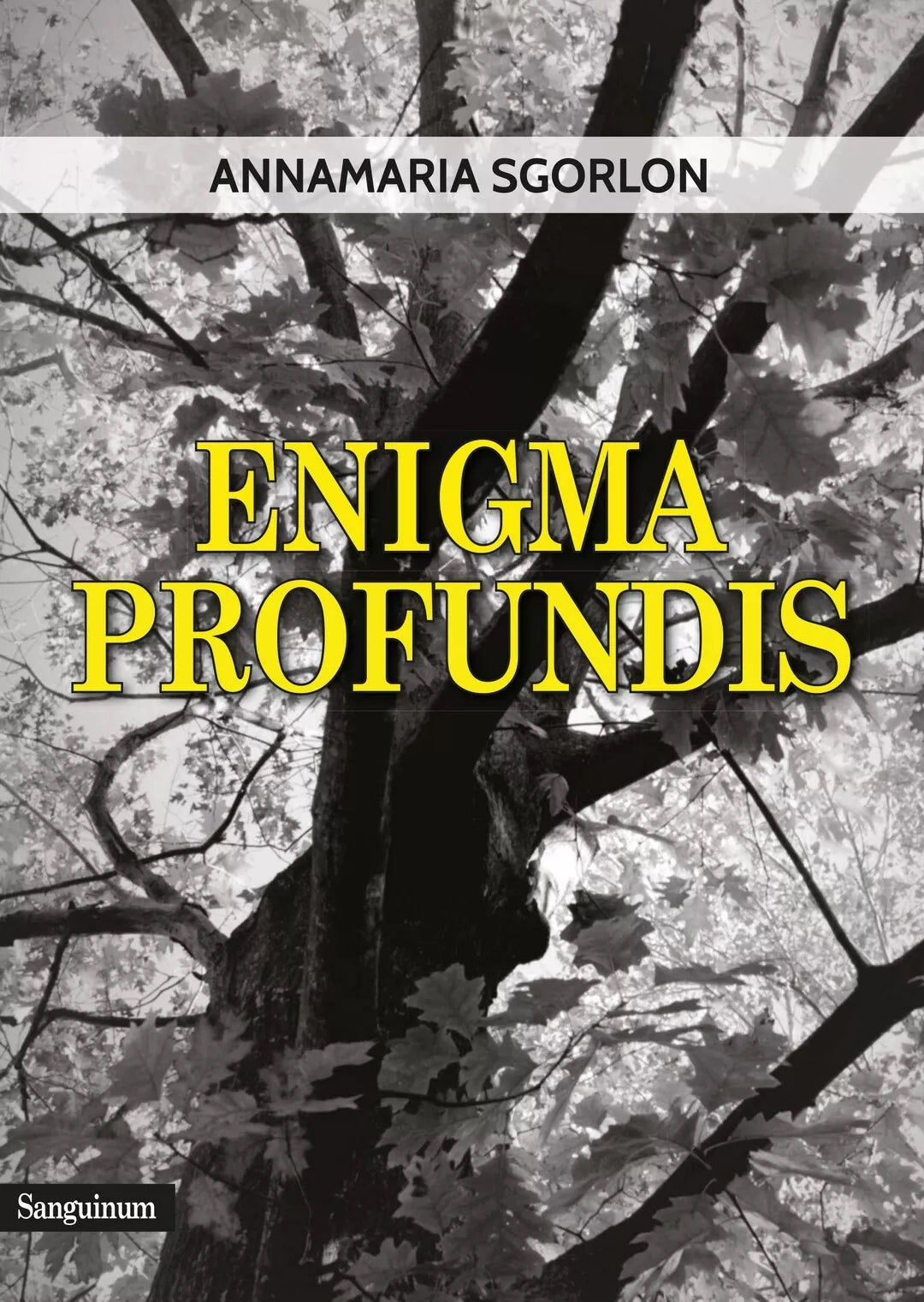 Enigma Profundis di Annamaria Sgorlon, 2019, Youcanprint