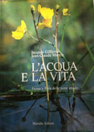L’acqua e la vita - Gillieron Jean-Martin - 1989 - Marsilio - lo