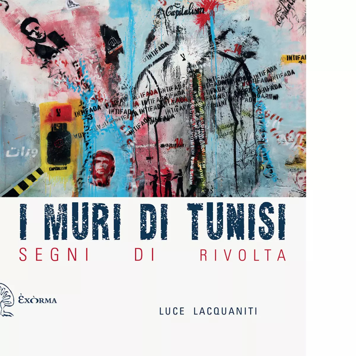 I muri di Tunisi di Luce Lacquaniti