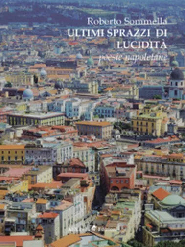 Ultimi sprazzi di lucidita di Roberto Sommella, 2019, Ali Ribelli Edizioni