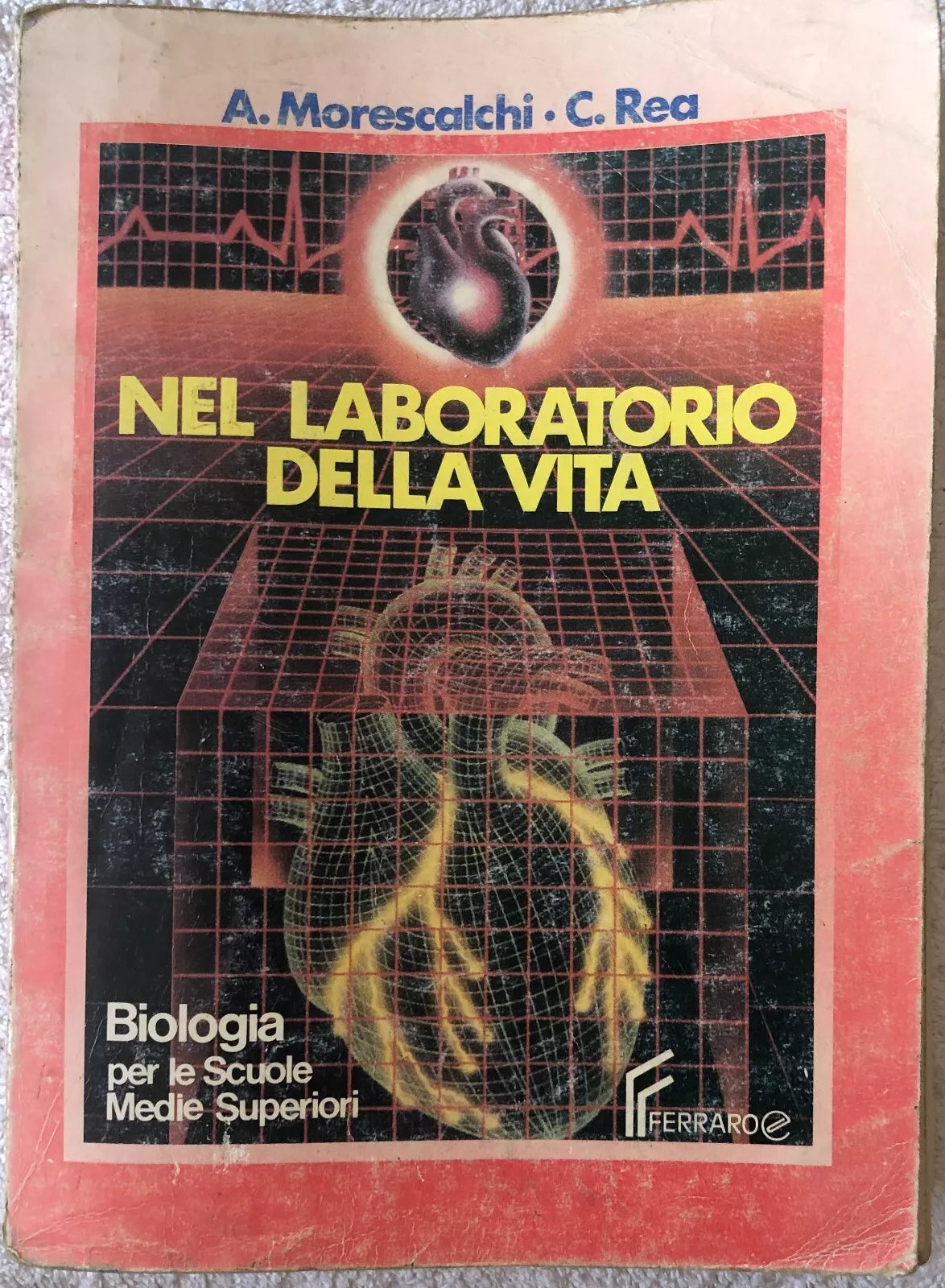 Biologia Nel laboratorio della vita Per le Scuole superiori di Alessandro More