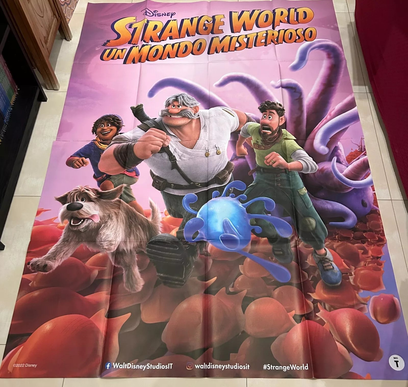 Poster locandina Strange World