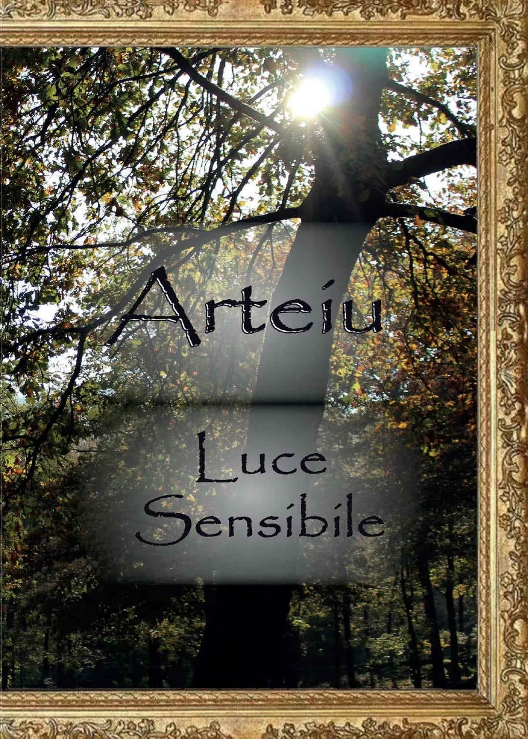 Luce sensibile di Arteiu, 2017, Youcanprint