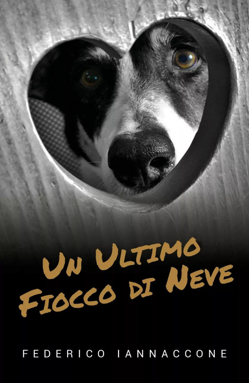 Un ultimo fiocco di neve di Federico Iannaccone, 2019, Youcanprint