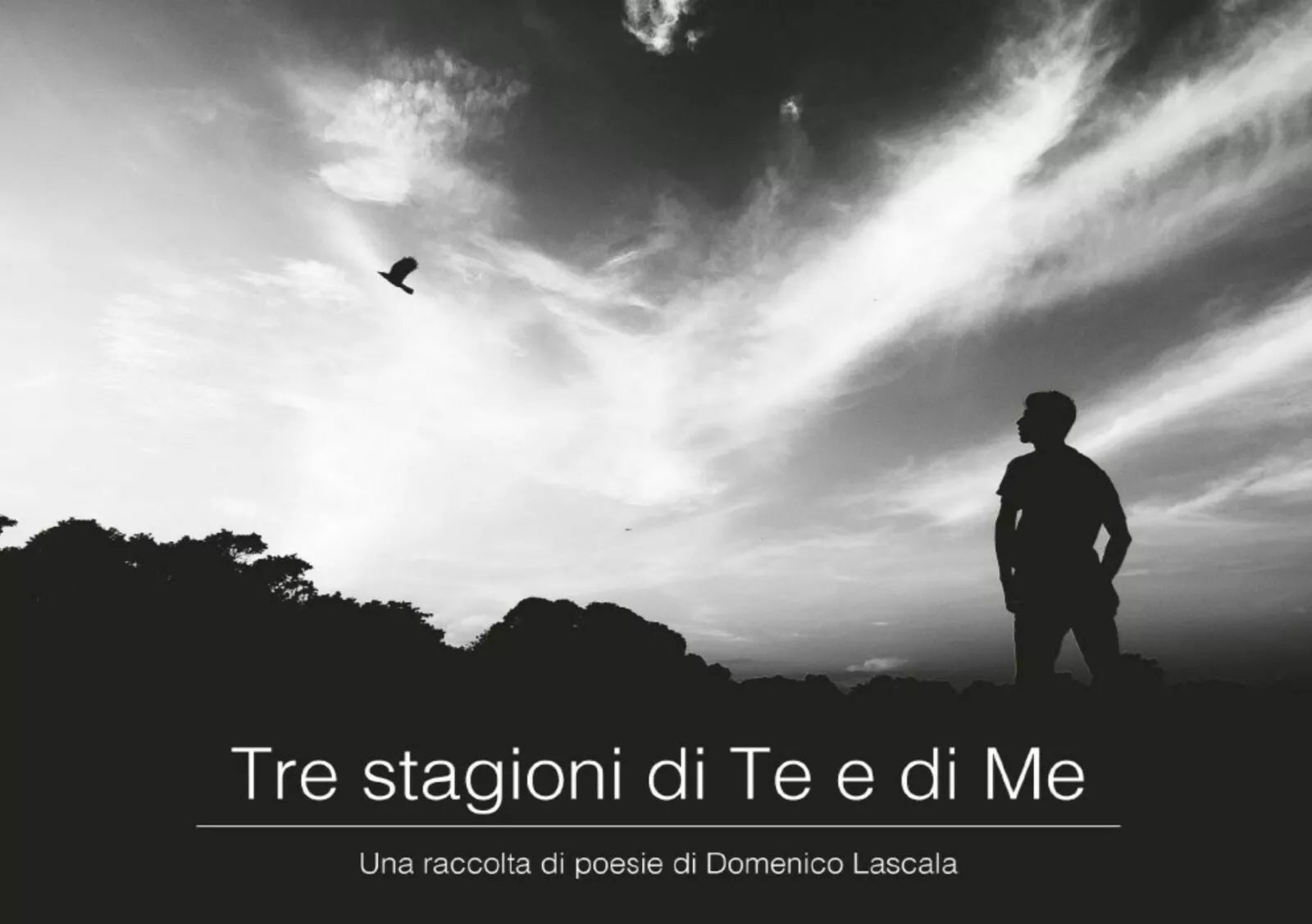 Tre stagioni di te e di me di Domenico Lascala, 2017, Youcanprint
