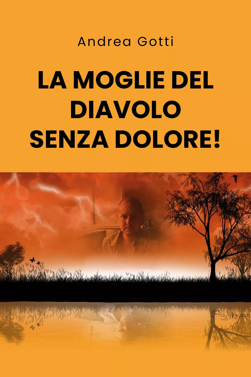 La moglie del diavolo senza dolore! di Andrea Gotti, 2020, Youcanprint