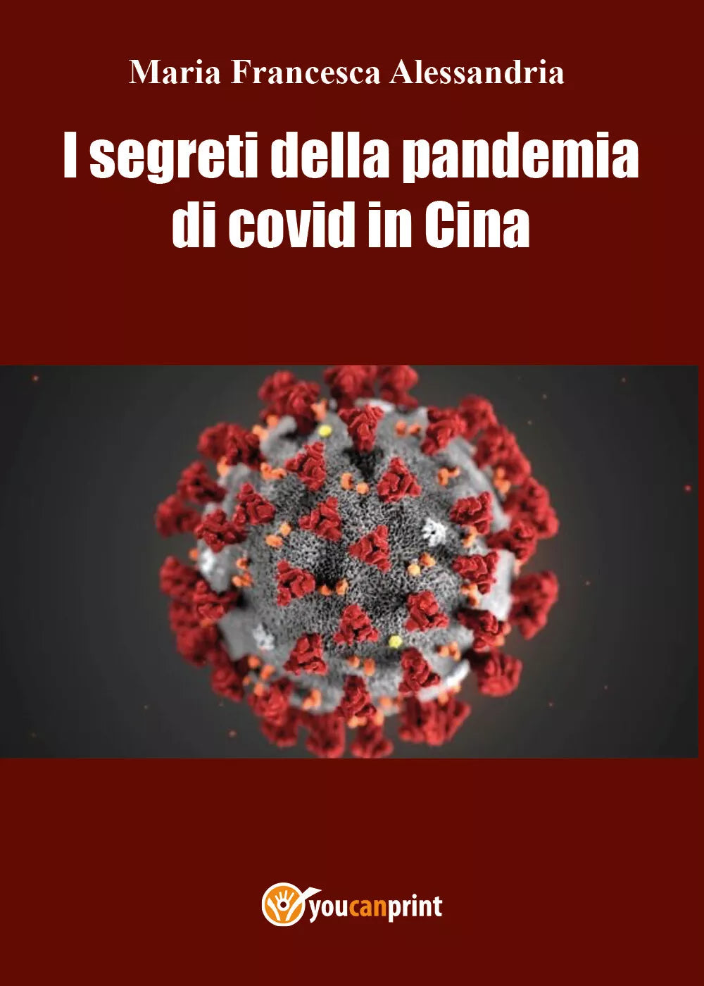 I segreti della pandemia di co vid in cina di Maria Francesca Alessandria