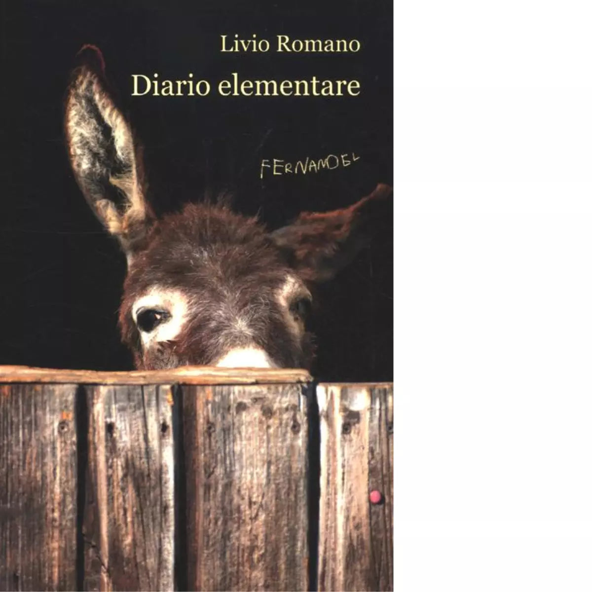 Diario elementare di Livio Romano