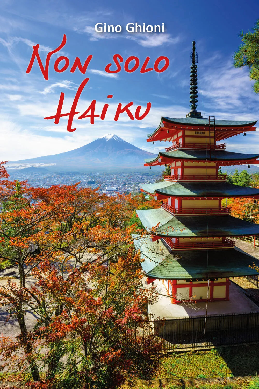 Non solo haiku di Gino Ghioni, 2017, Youcanprint