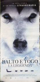 Poster locandina Balto e Togo