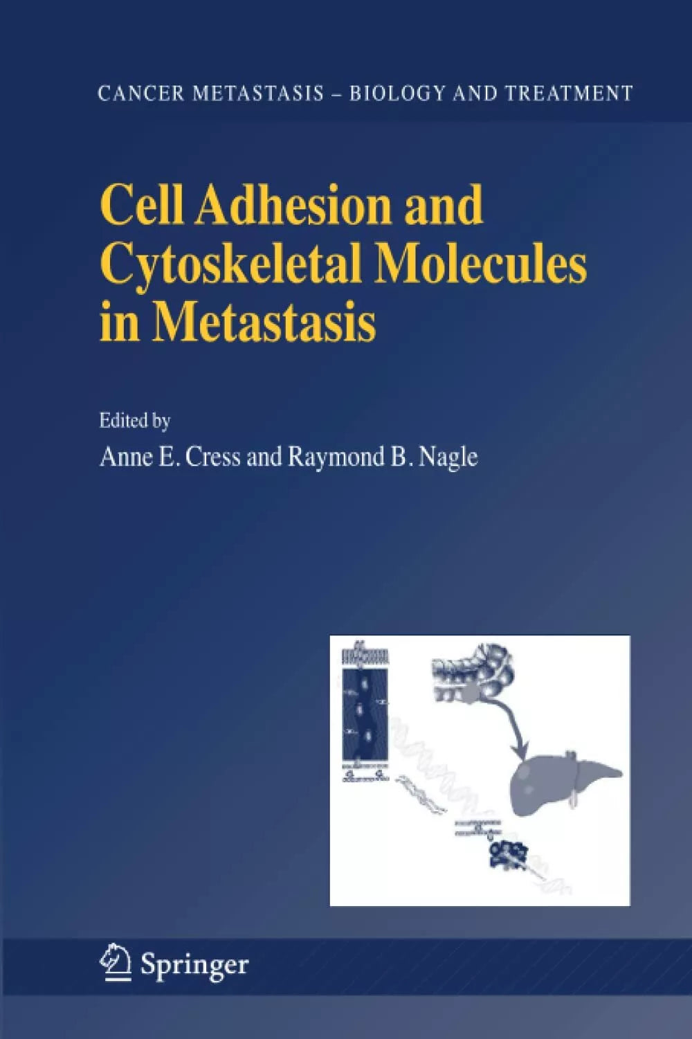 Cell Adhesion and Cytoskeletal Molecules in Metastasis