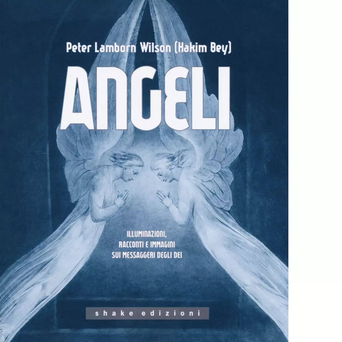 Angeli di Peter L Wilson