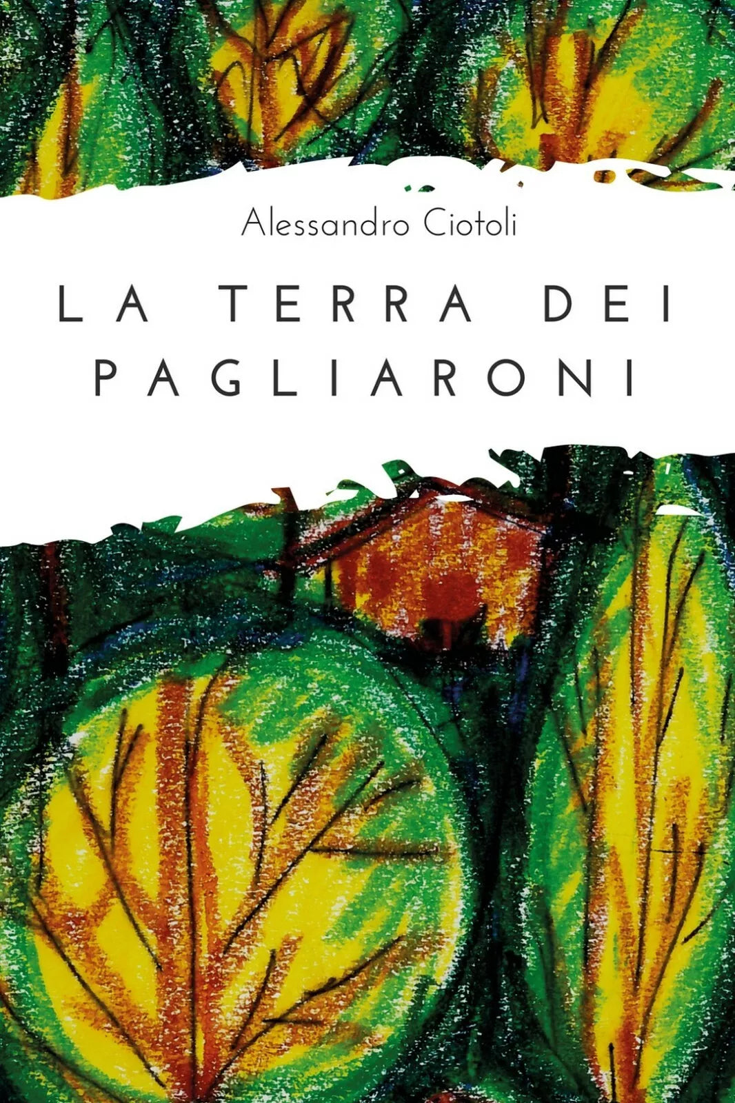 La terra dei pagliaroni di Alessandro Ciotoli, 2017, Youcanprint