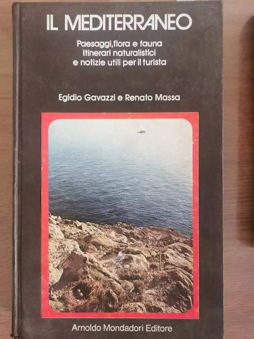 Il mediterraneo - Gavazzi Massa - Mondadori - 1979 - AR