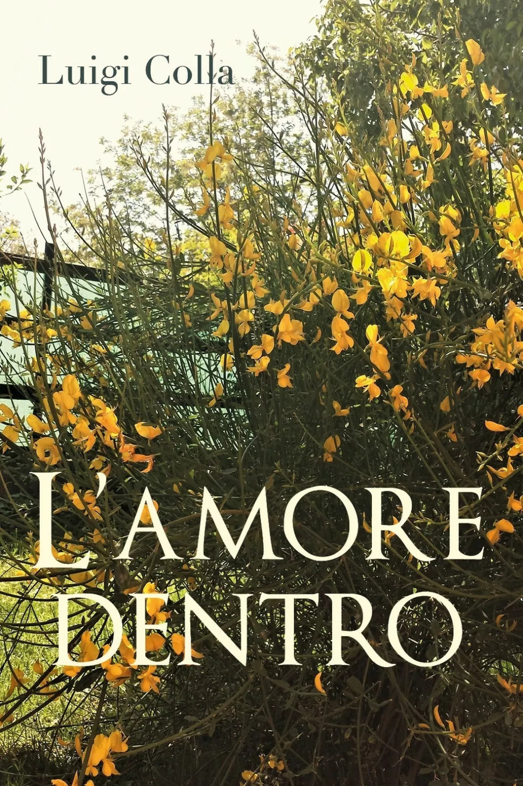 L’amore dentro di Luigi Colla, 2019, Youcanprint