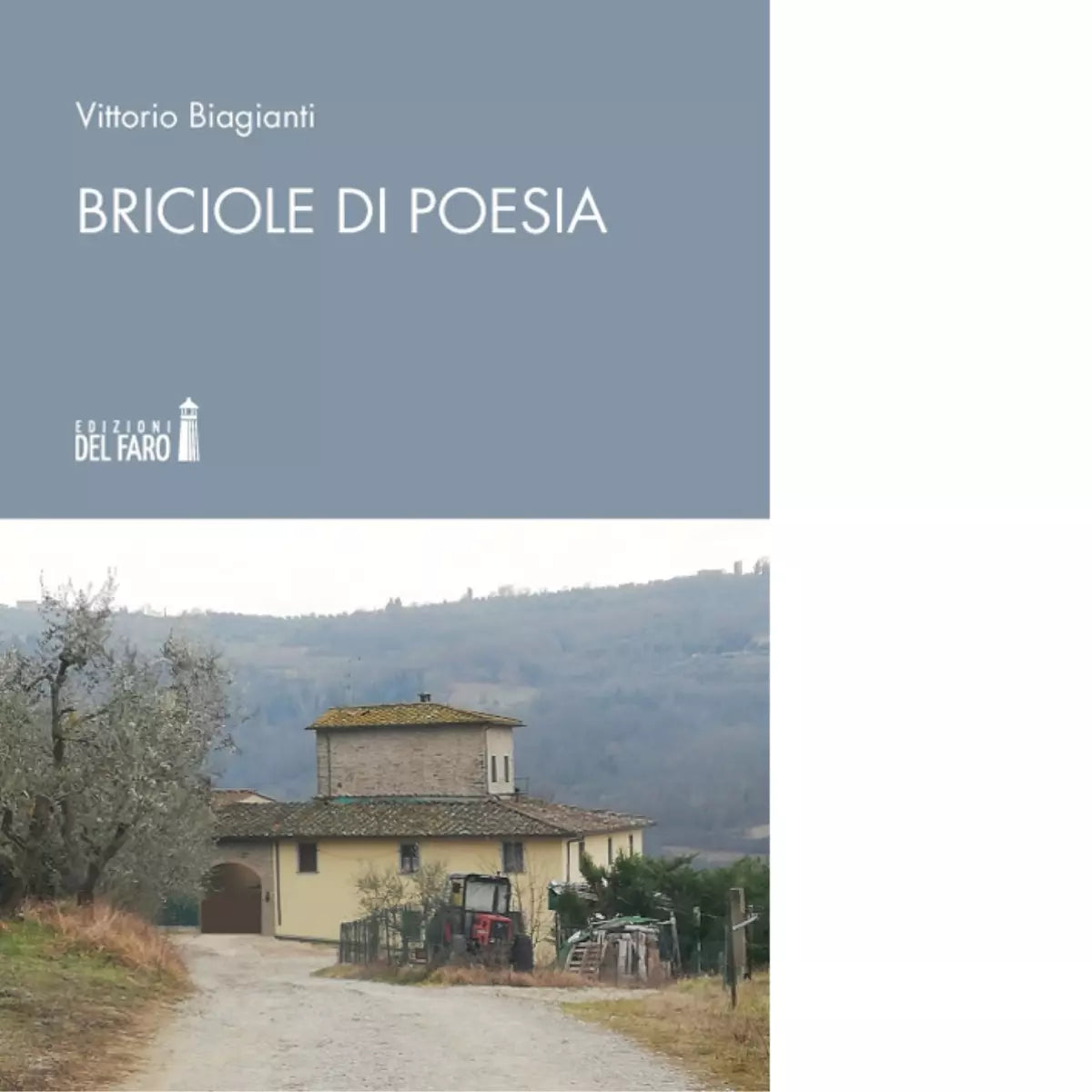 Briciole di poesia di Vittorio Biagianti