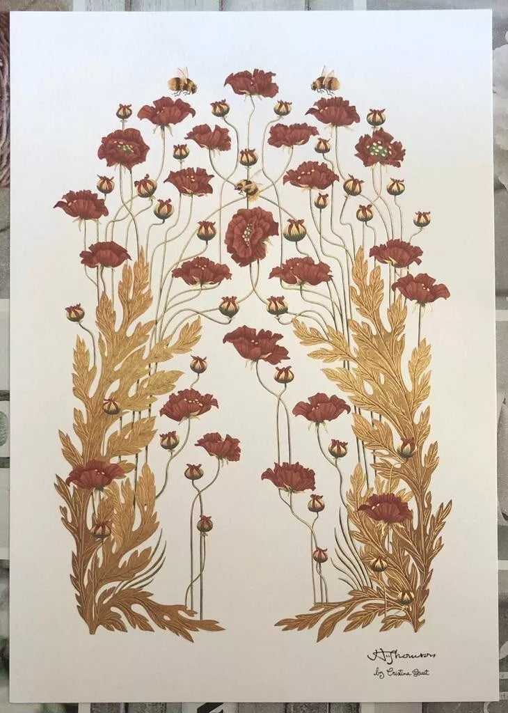3 STAMPE IN EDIZIONE LIMITATA CON LE SPLENDIDE ILLUSTRAZIONI DEL XIX SECOLO DI