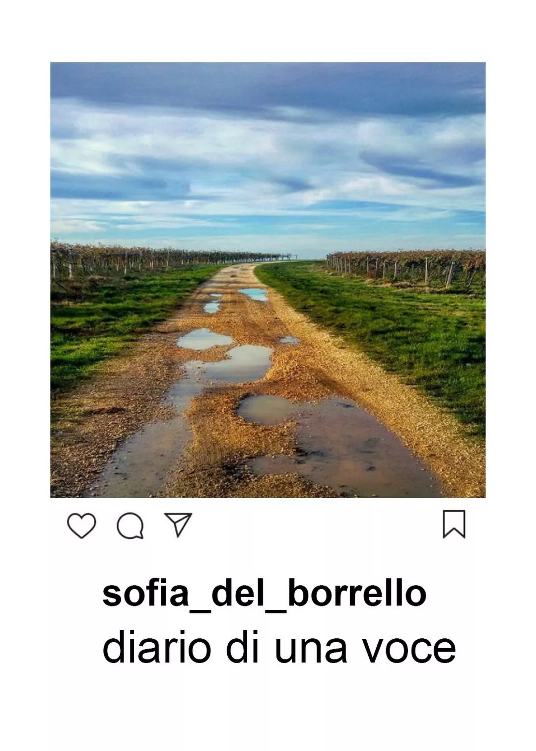 Diario di una voce di Sofia Del Borrello, 2019, Youcanprint