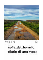 Diario di una voce di Sofia Del Borrello, 2019, Youcanprint
