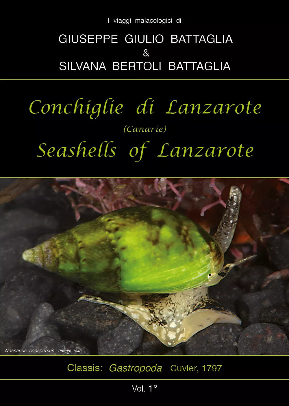 Conchiglie di Lanzarote-Seashells of Lanzarote. Ediz. bilingue di Giuseppe Giuli