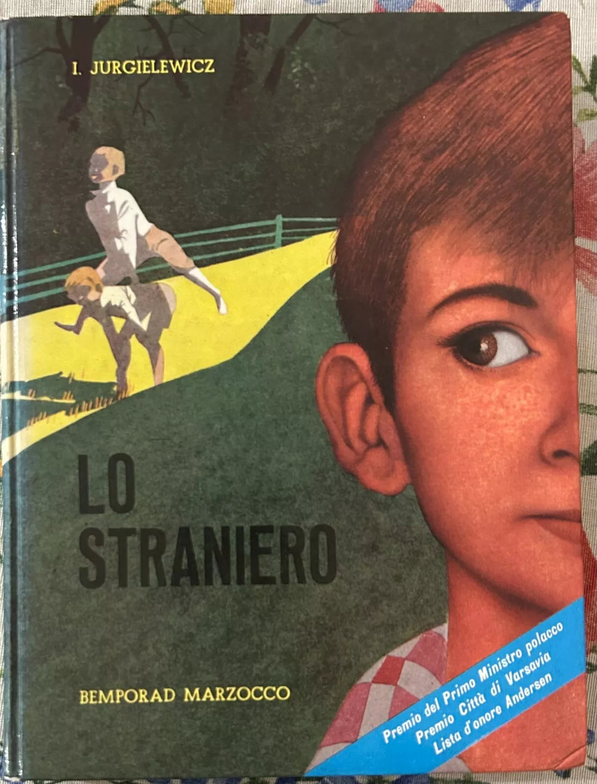 Lo straniero di Irena Jurgielewiczowa
