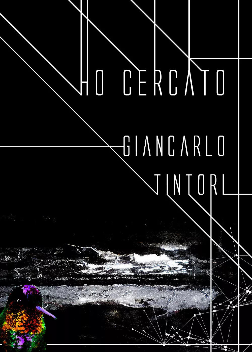 Ho cercato di Giancarlo Tintori, 2020, Youcanprint