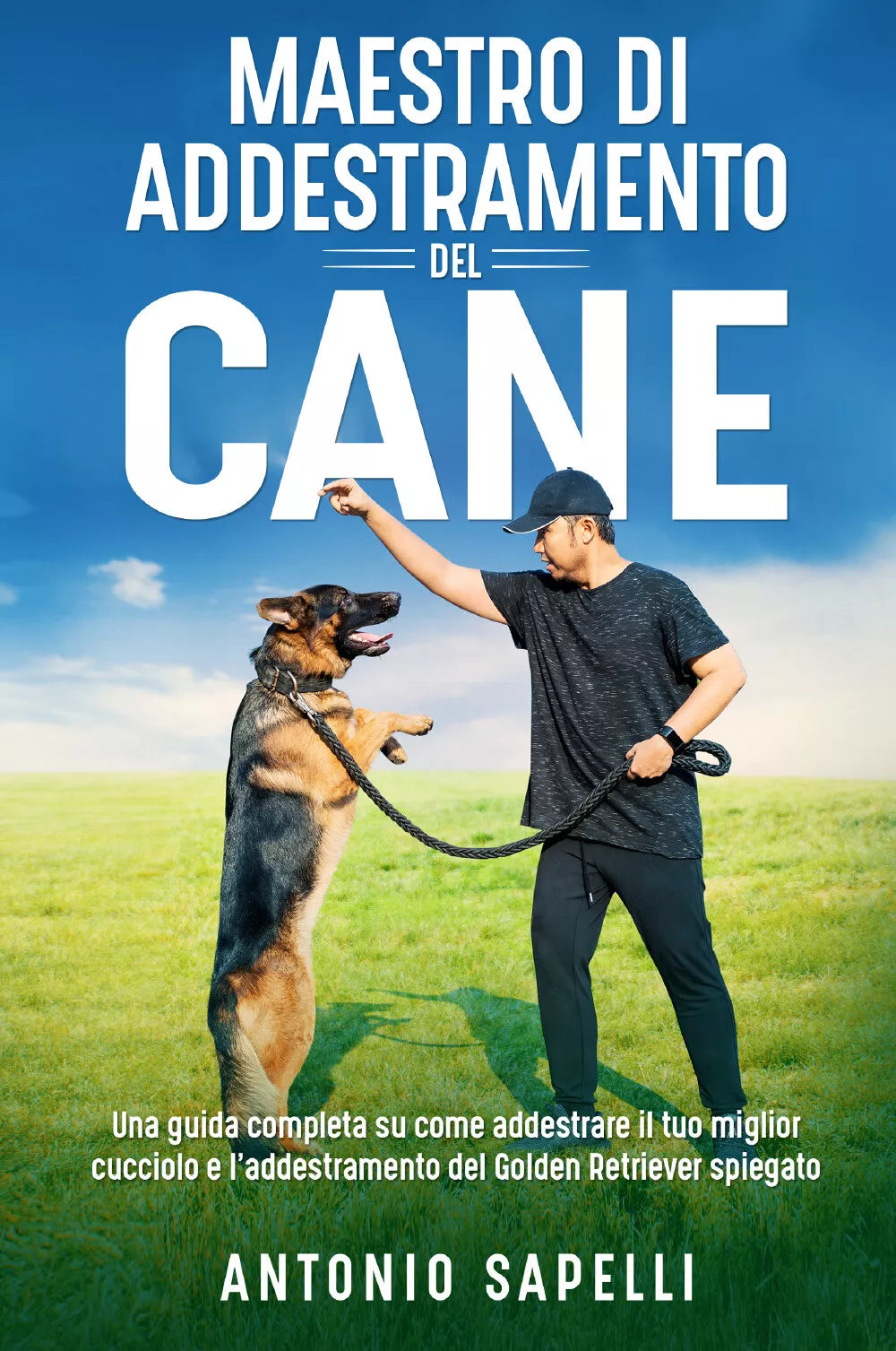 Maestro di addestramento del cane Una guida completa su come addestrare il tuo
