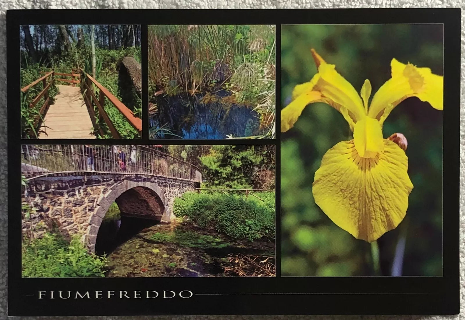 Cartolina Riserva Naturale del Fiumefreddo
