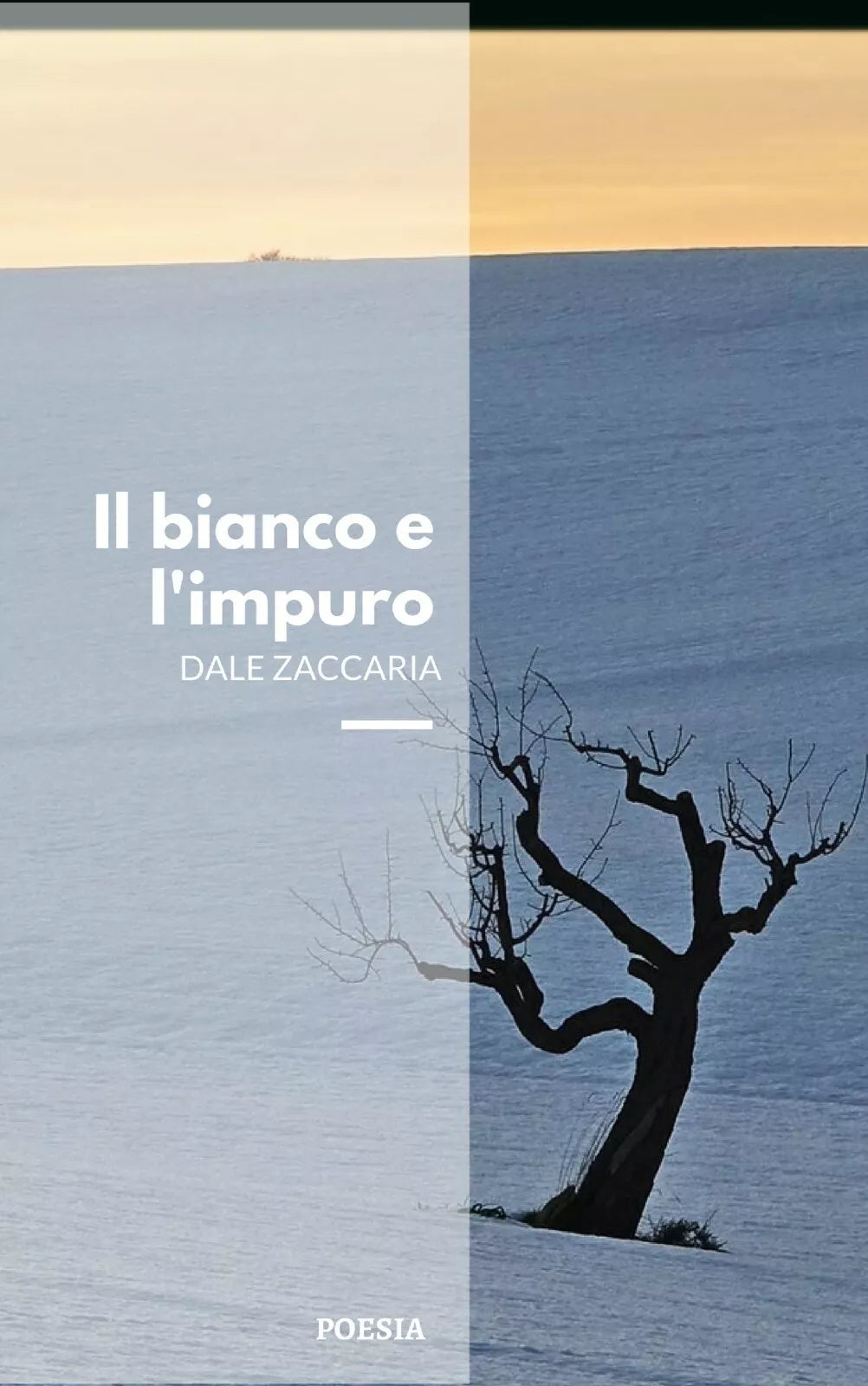 Il bianco e l’impuro di Dale Zaccaria, 2018, Youcanprint