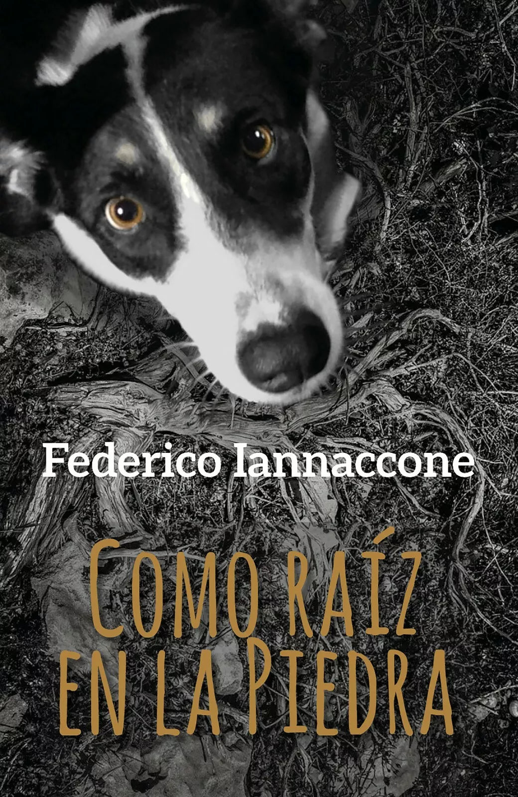 Como raiz en la Piedra - Federico Iannaccone, 2021, Youcanprint