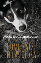 Como raiz en la Piedra - Federico Iannaccone, 2021, Youcanprint